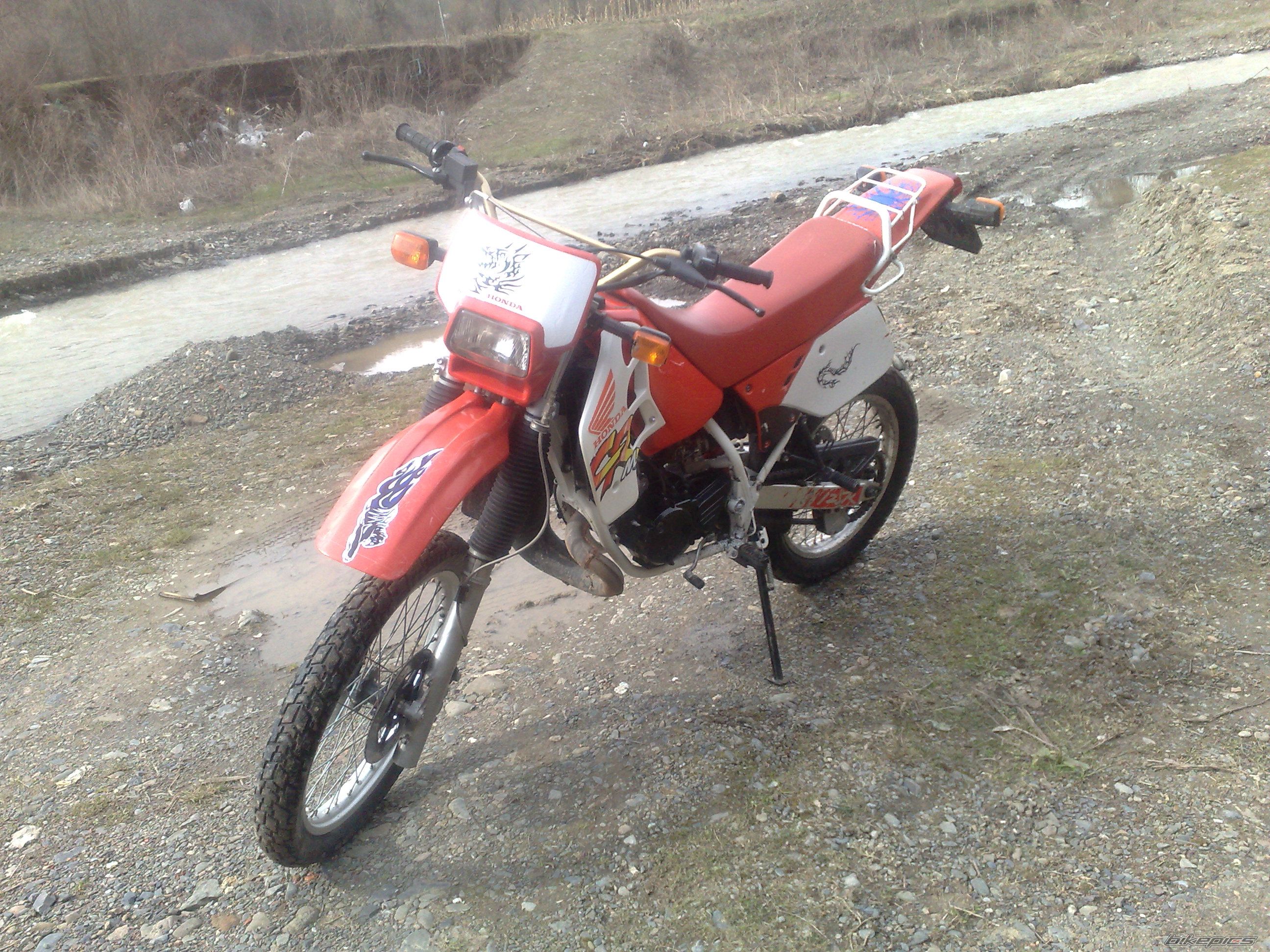 Photo 1617530
