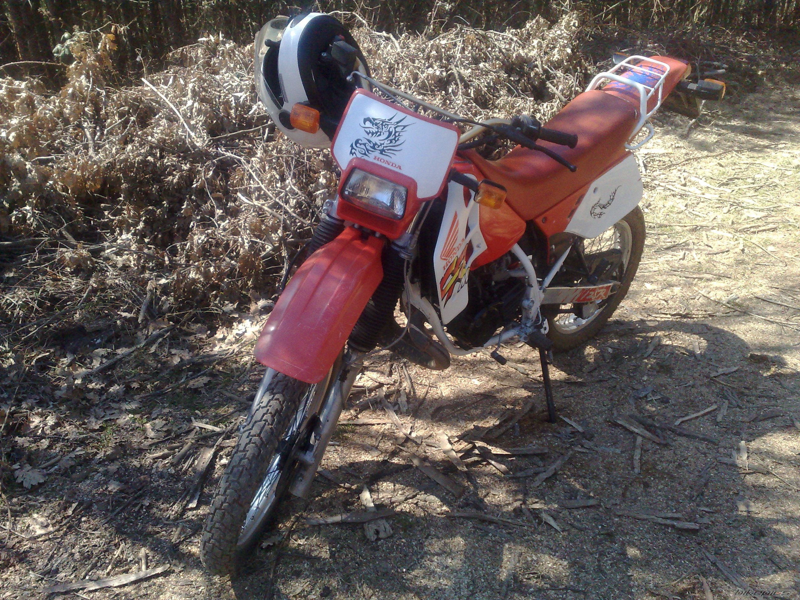 Photo 1617543