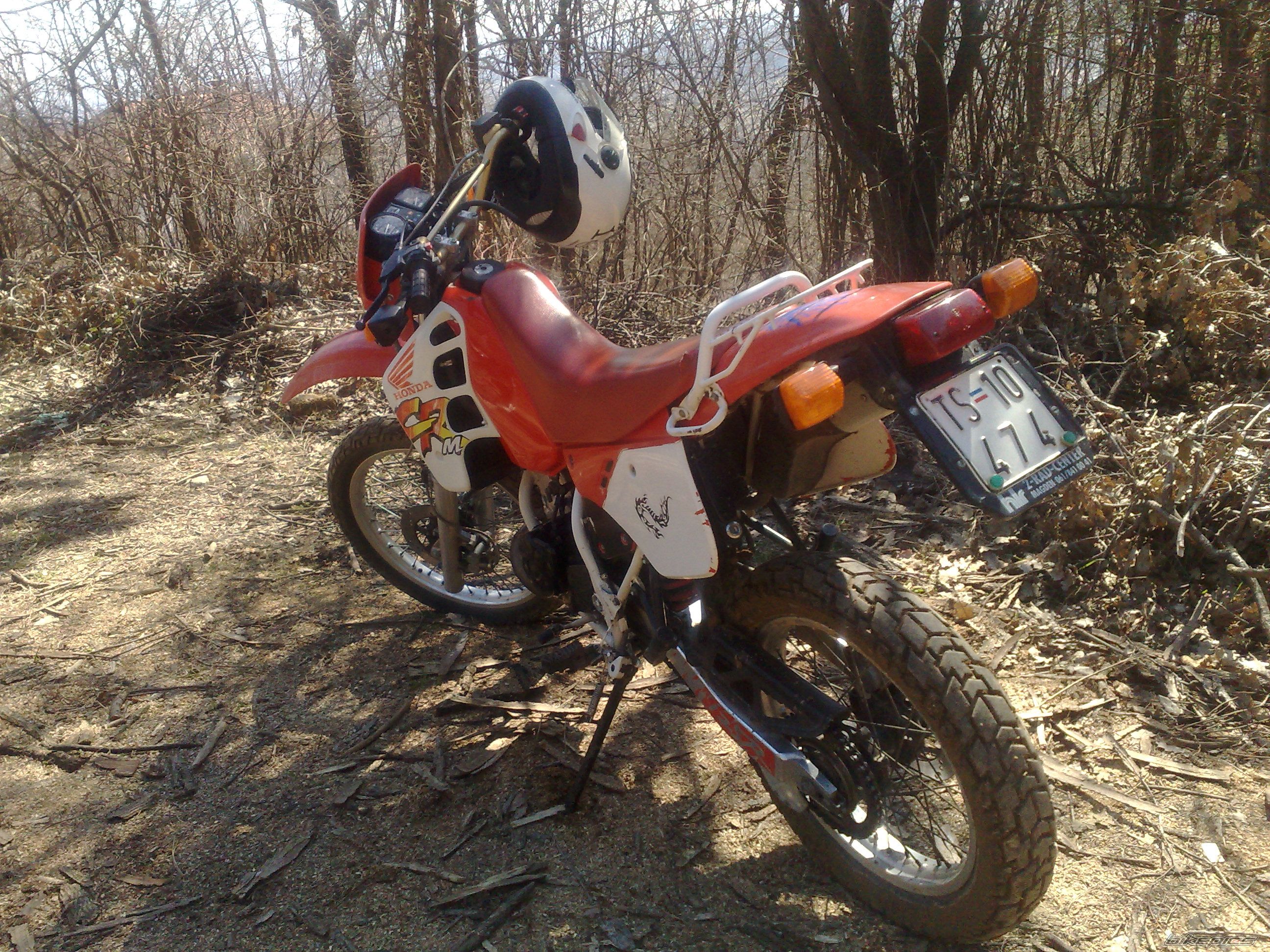 Photo 1617546