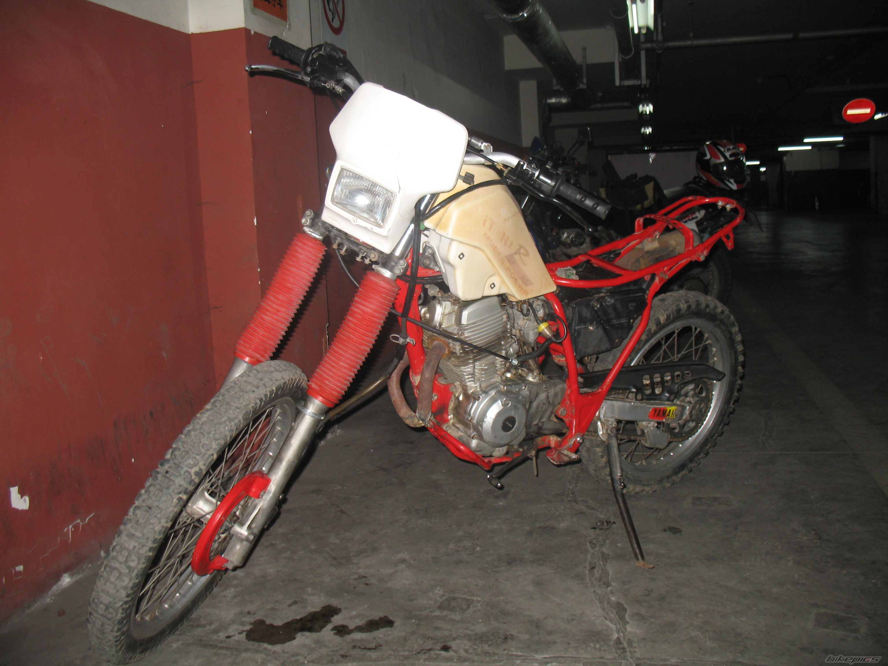 Photo 1617553