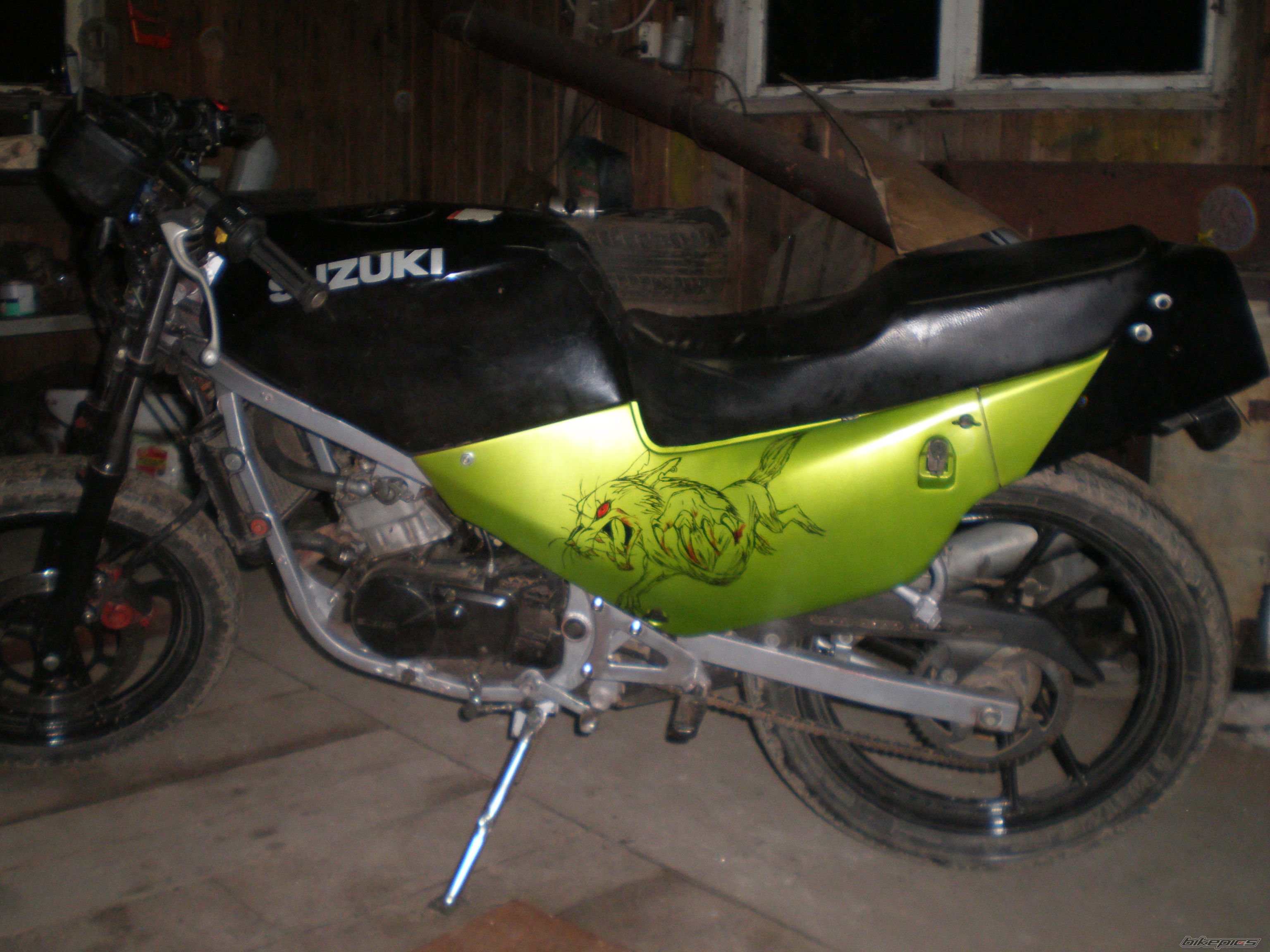 Photo 1617558