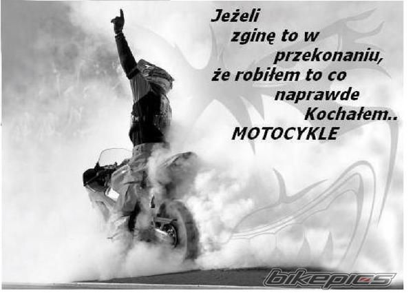 Photo 1617572