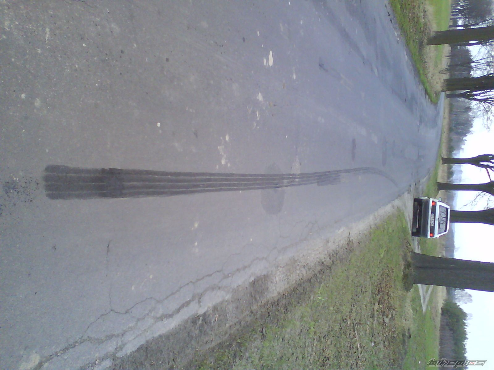 Photo 1617614