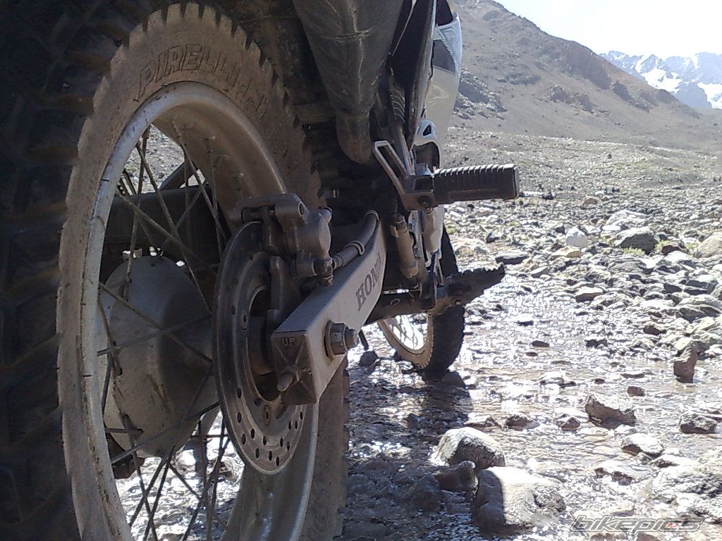 Photo 1617651