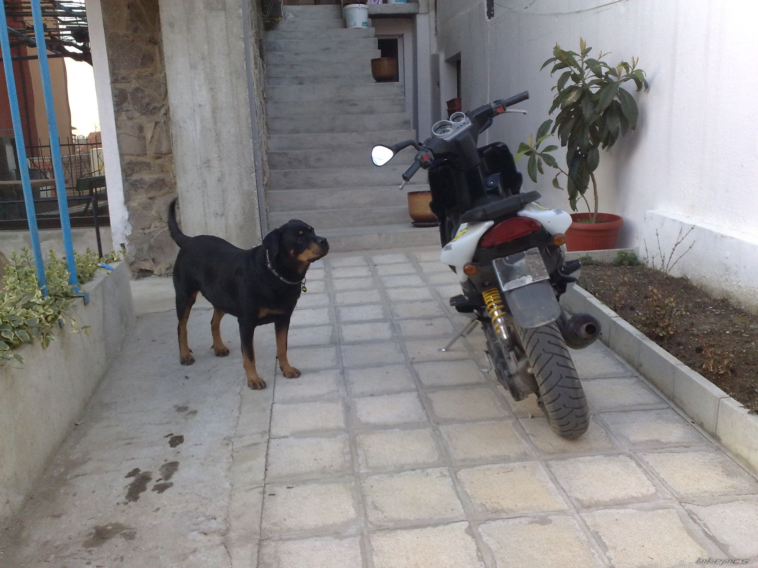 Photo 1617683