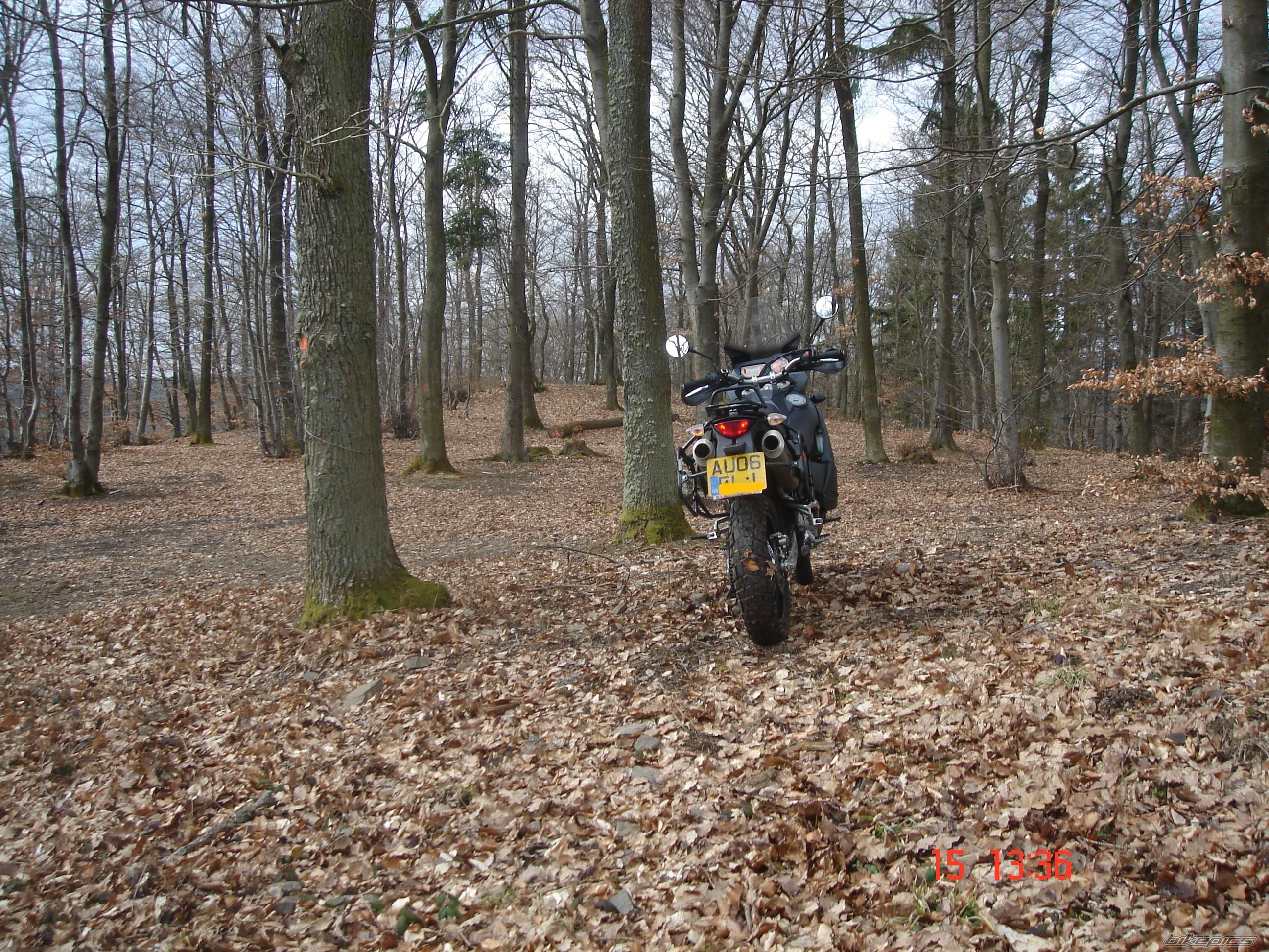 Photo 1617699