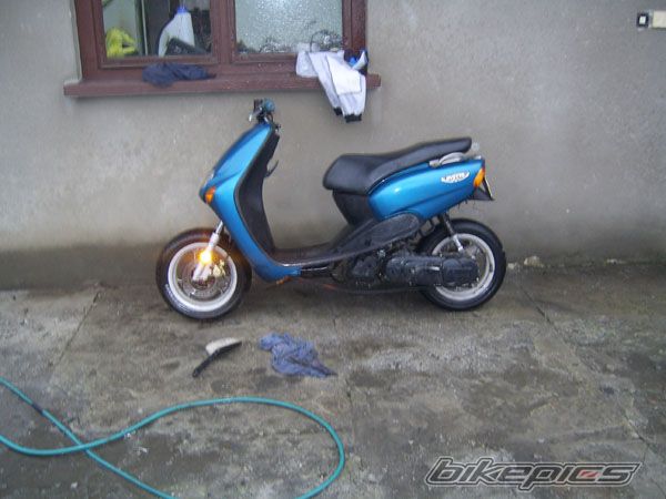 Photo 1617702