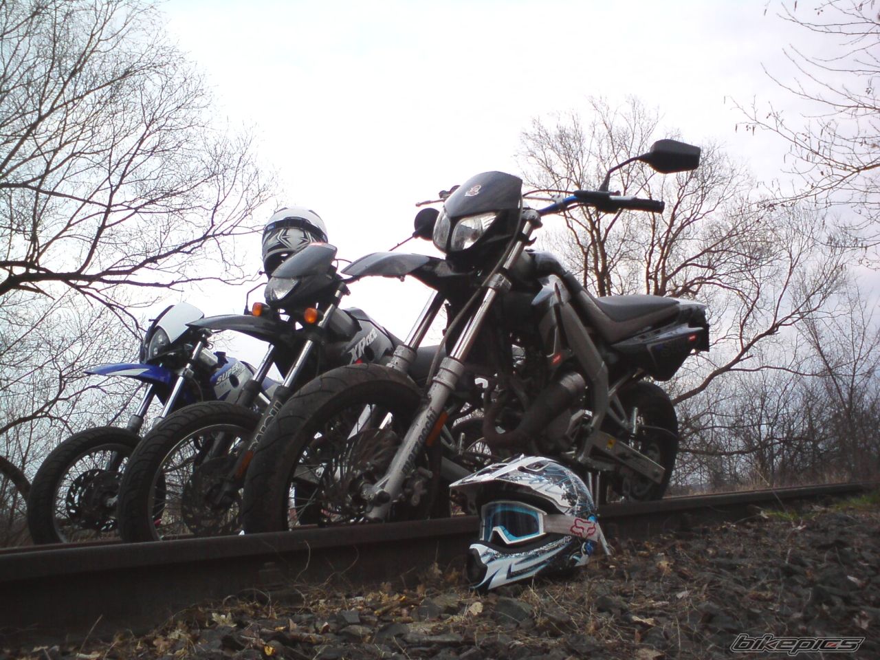 Photo 1617817