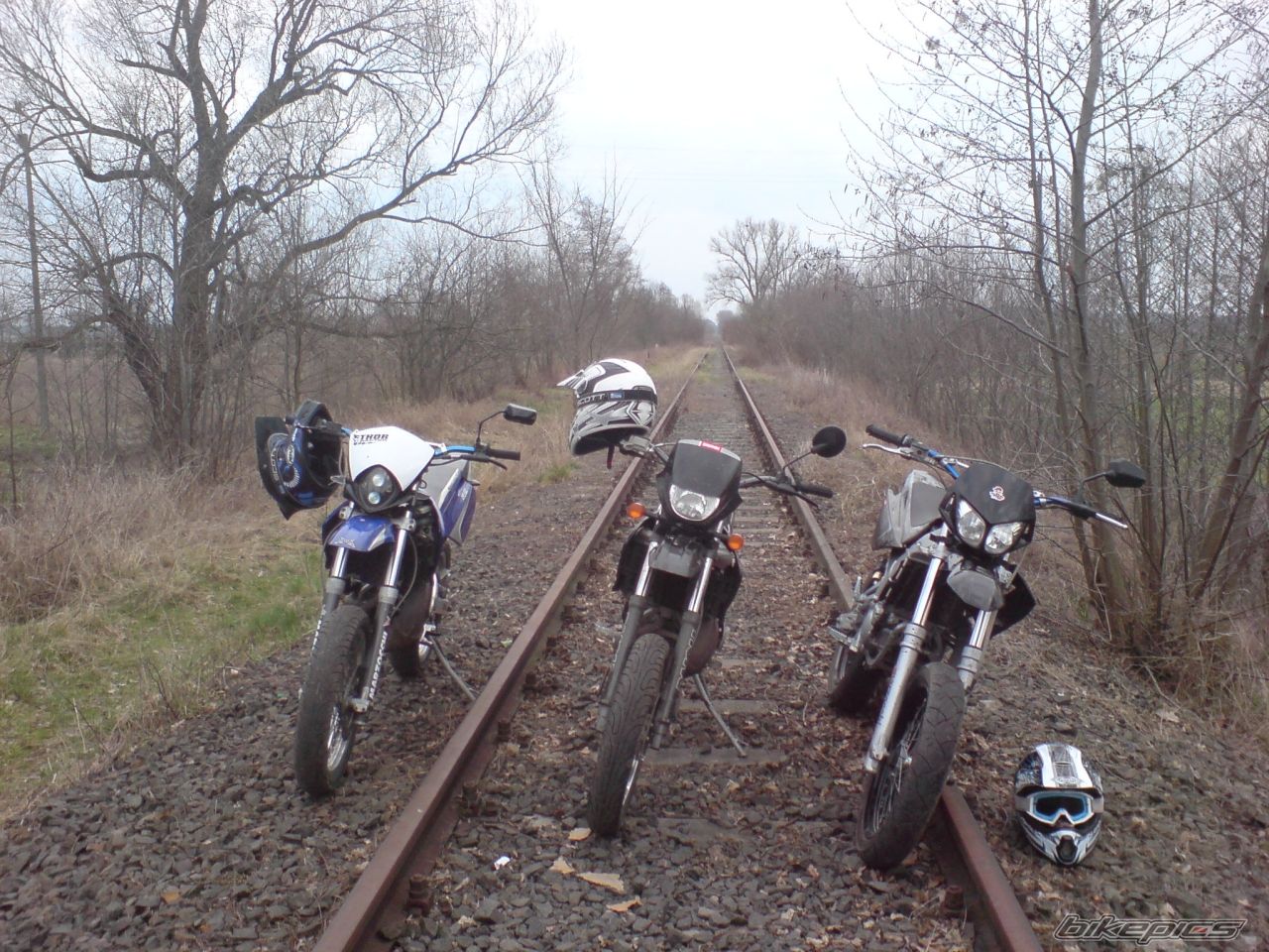 Photo 1617822