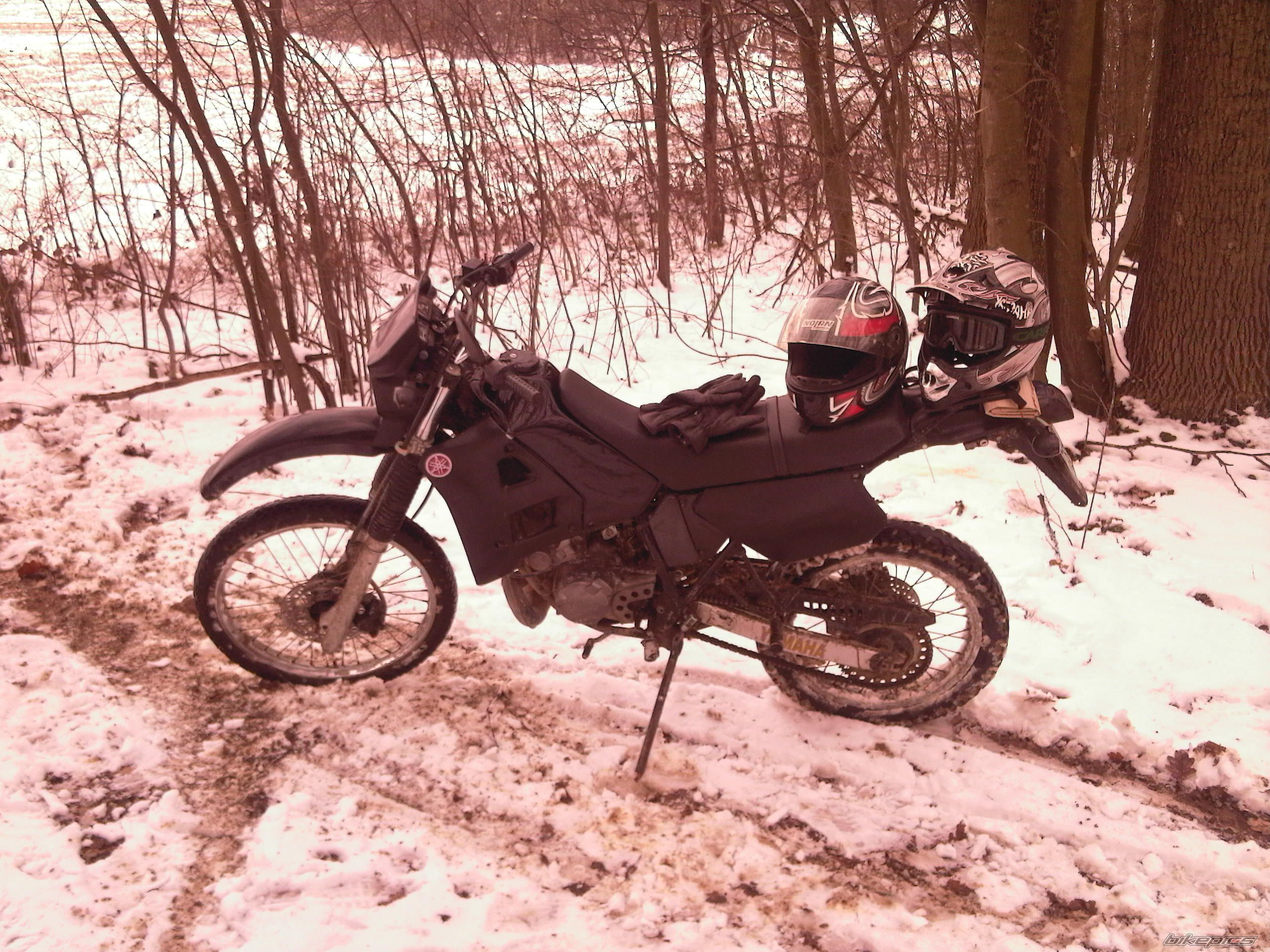Photo 1617919