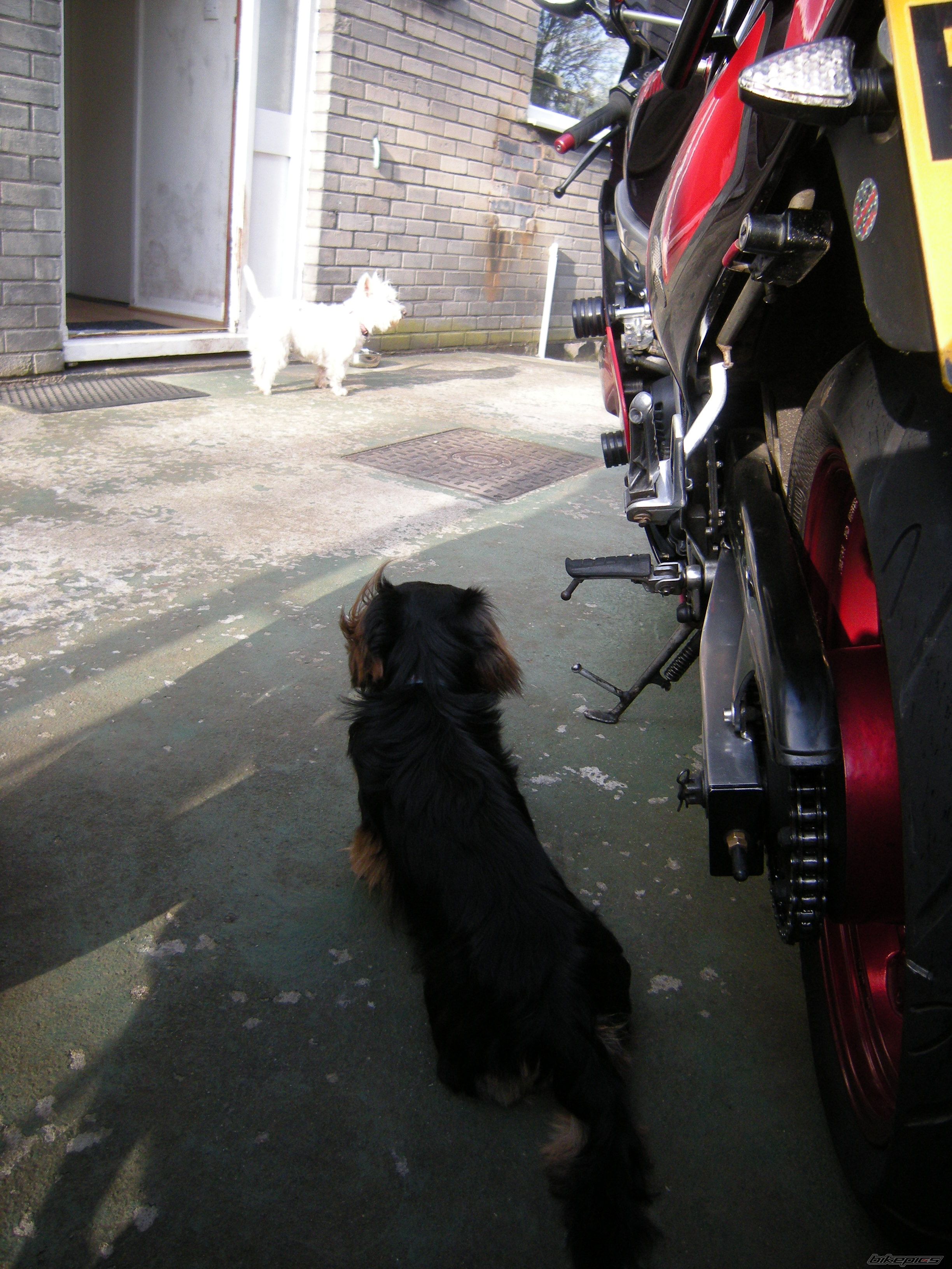 Photo 1617938