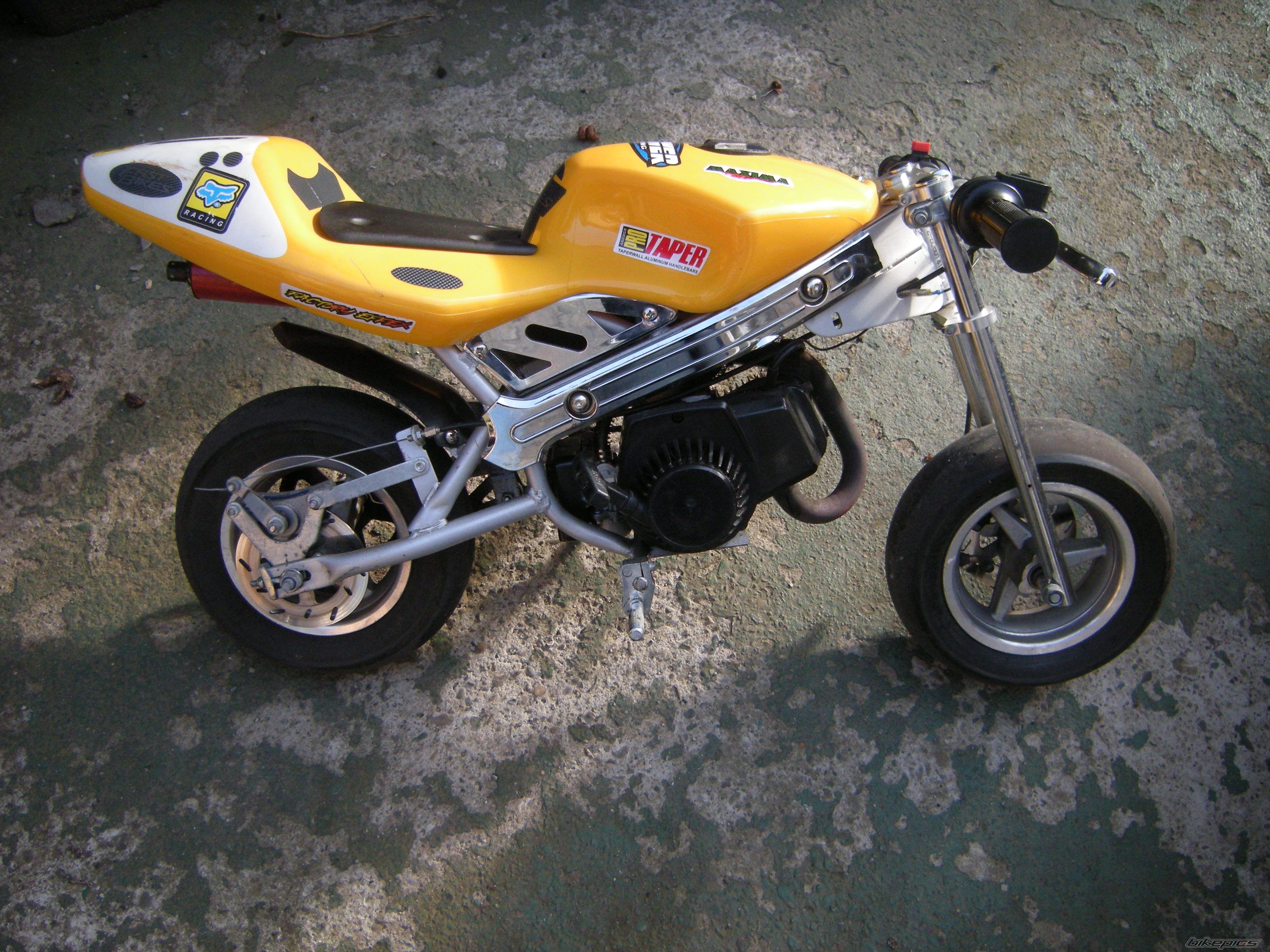 Photo 1617965
