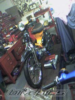 Photo 1617990