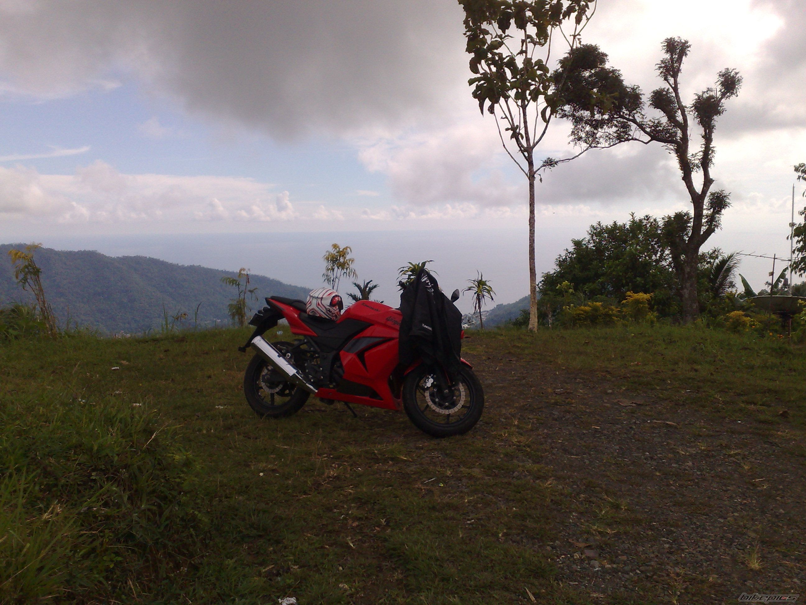 Photo 1618136