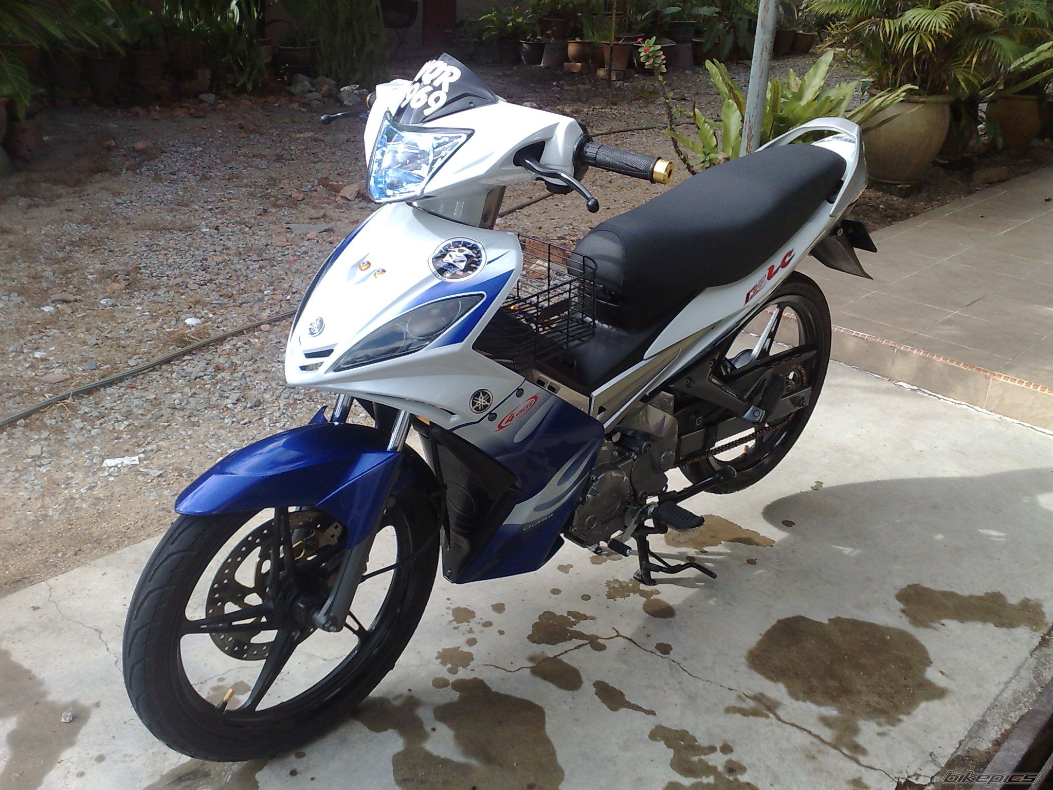 Photo 1618140