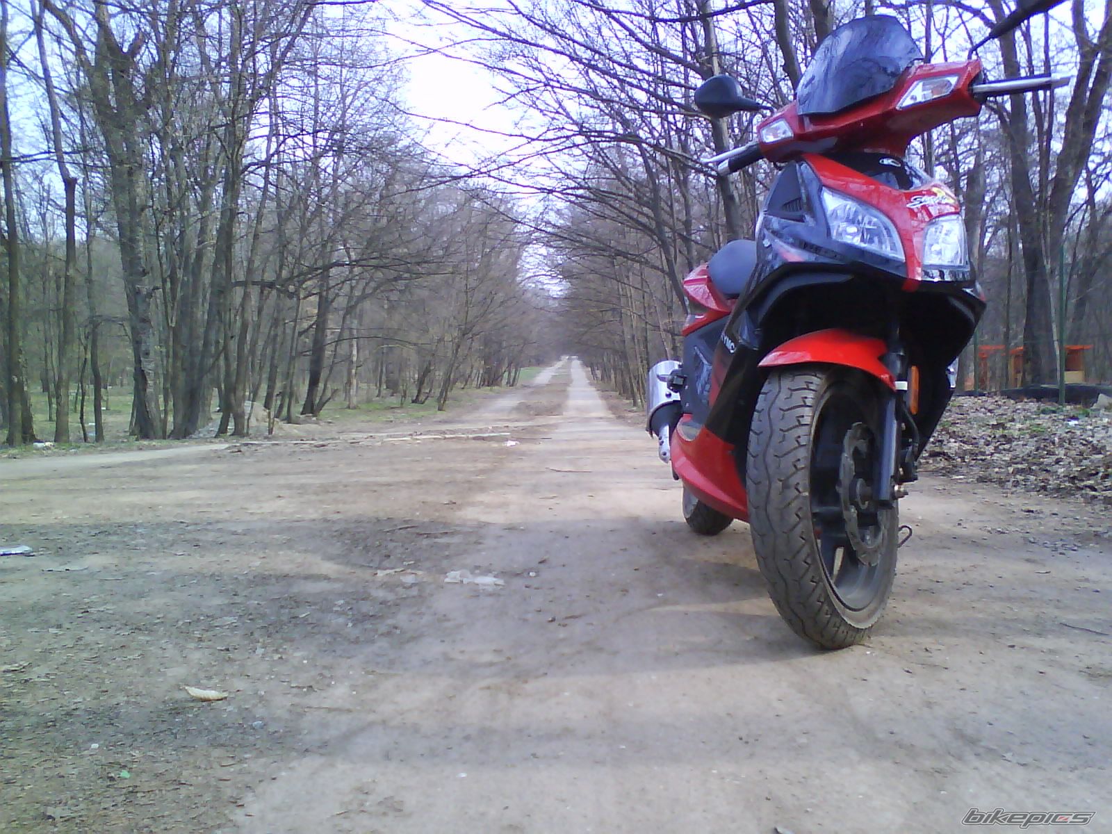 Photo 1618669