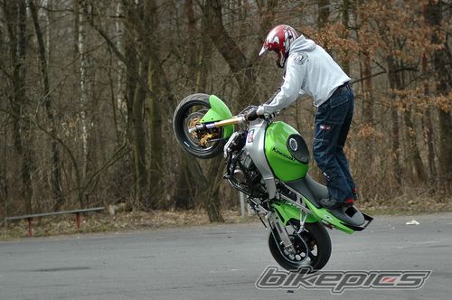 Photo 1618837