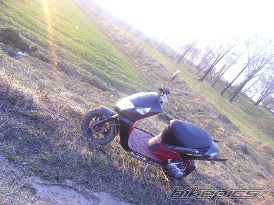 Photo 1618909
