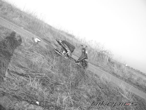 Photo 1618912