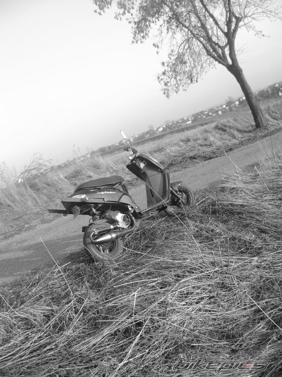 Photo 1618913