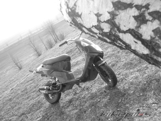 Photo 1618918