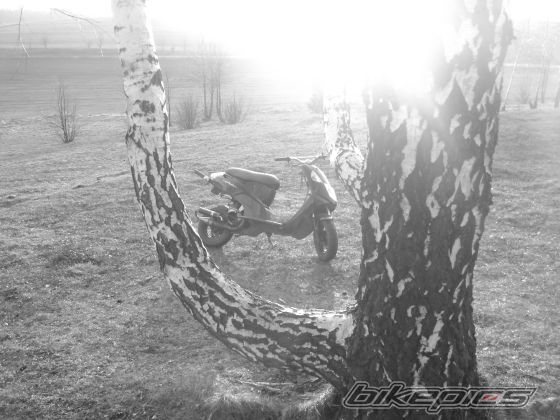Photo 1618921