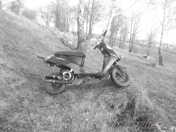 Photo 1618929