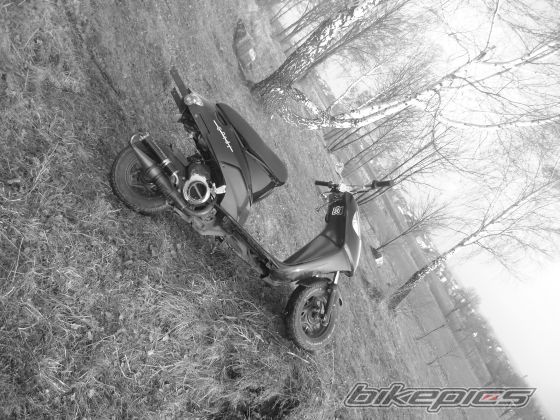 Photo 1618930