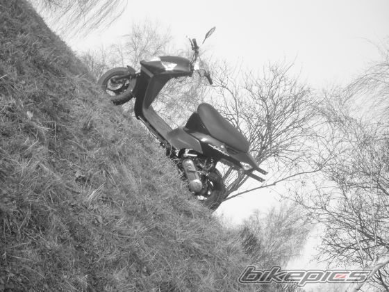 Photo 1618931