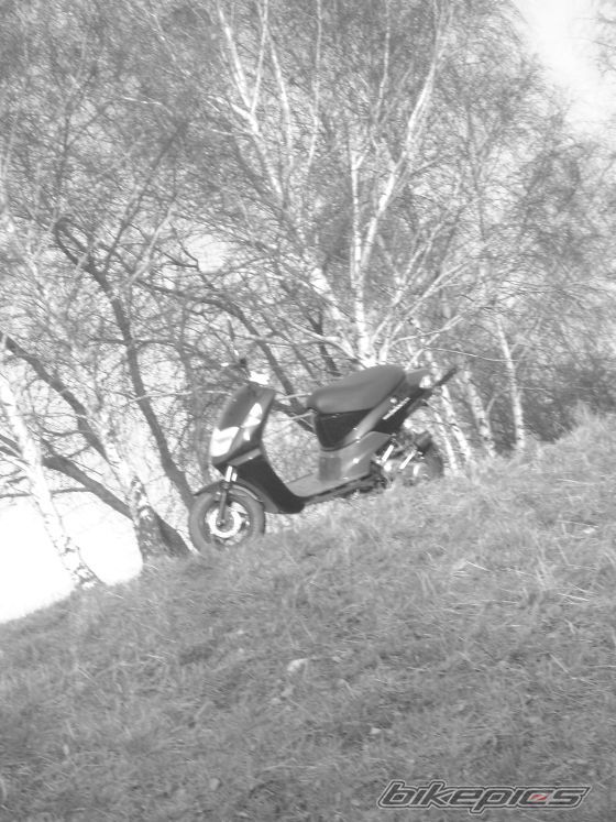 Photo 1618933