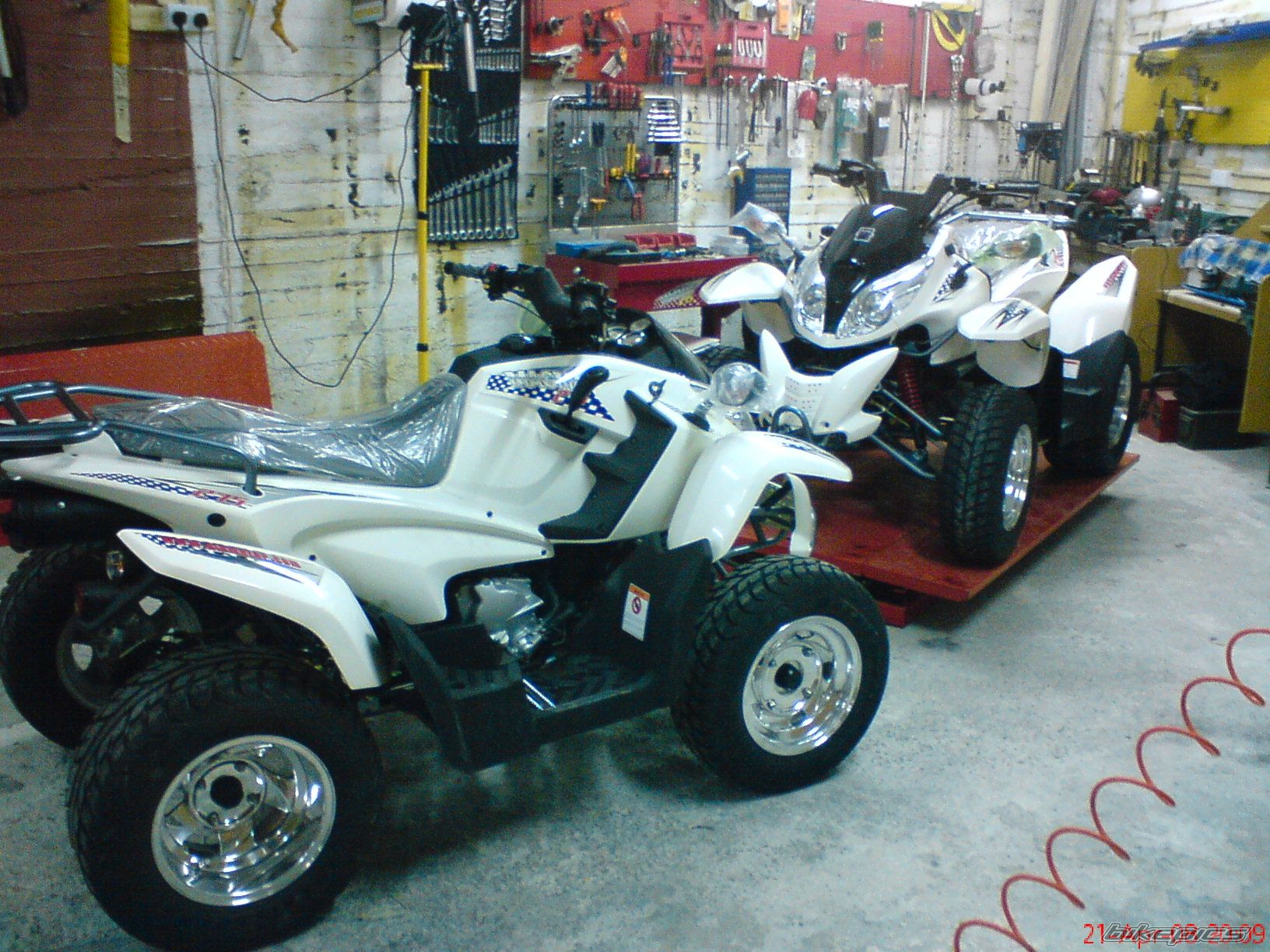 Photo 1618940