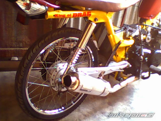 Photo 1619061