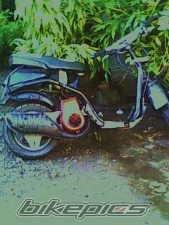 Photo 1619099