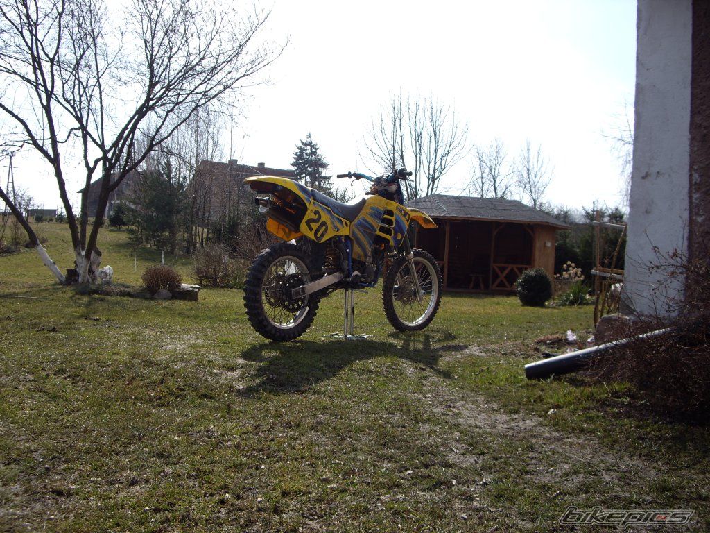 Photo 1619202