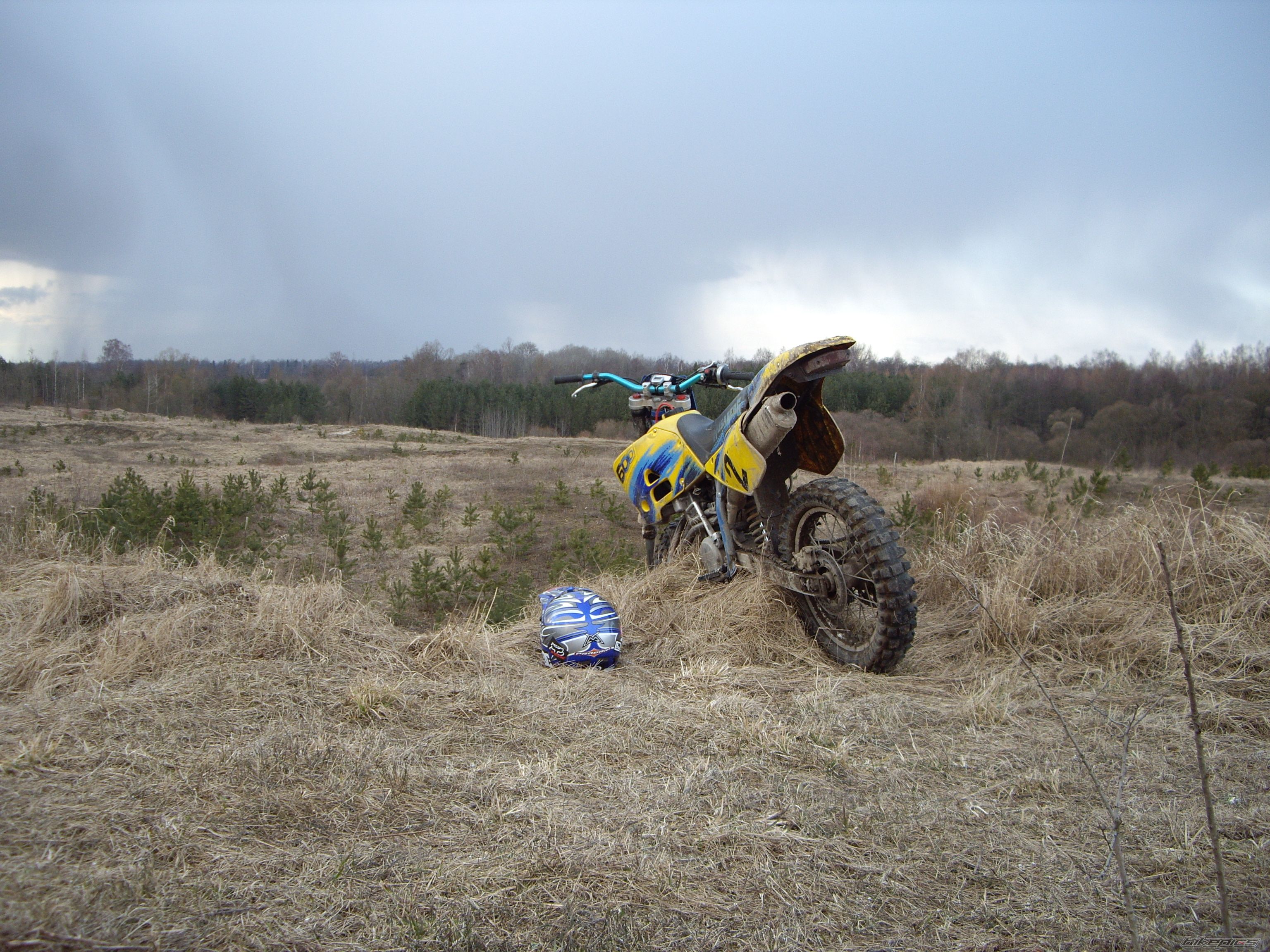 Photo 1619208