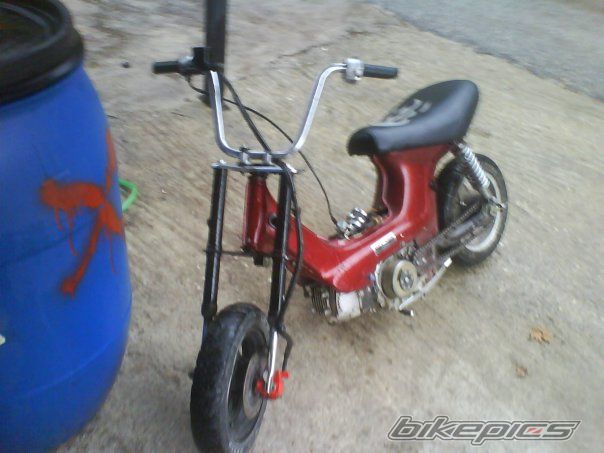 Photo 1619210