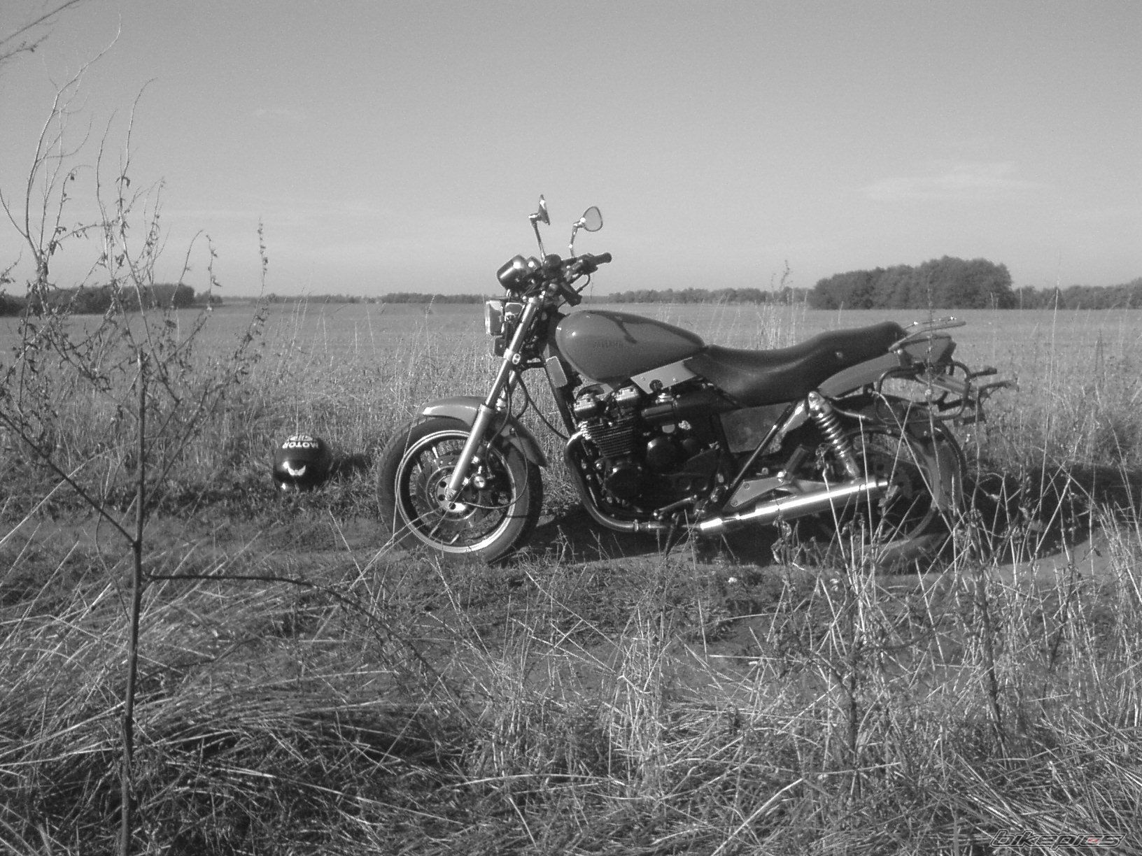 Photo 1619213