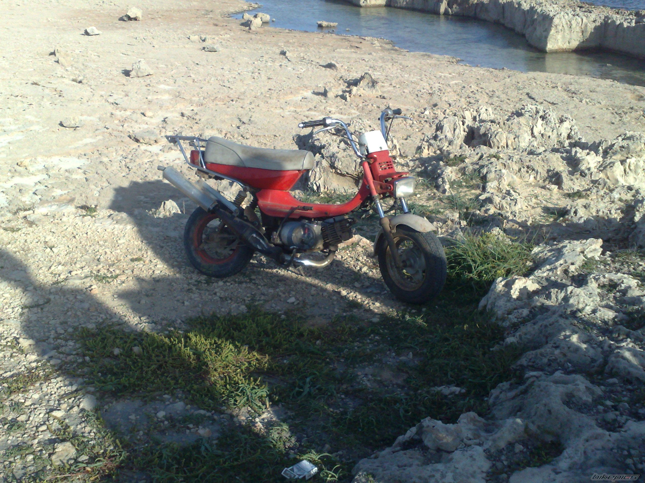 Photo 1619226