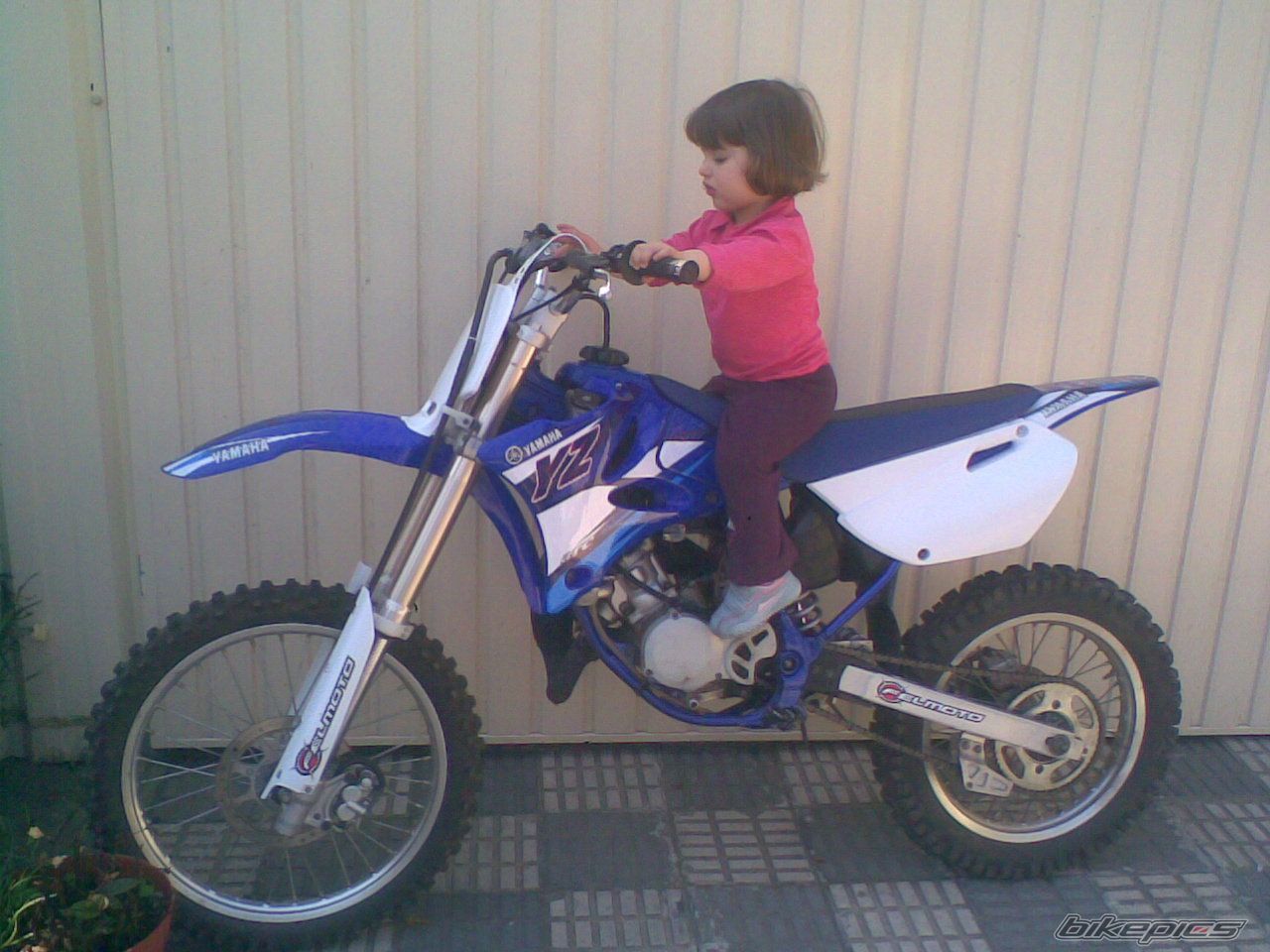 Photo 1619281