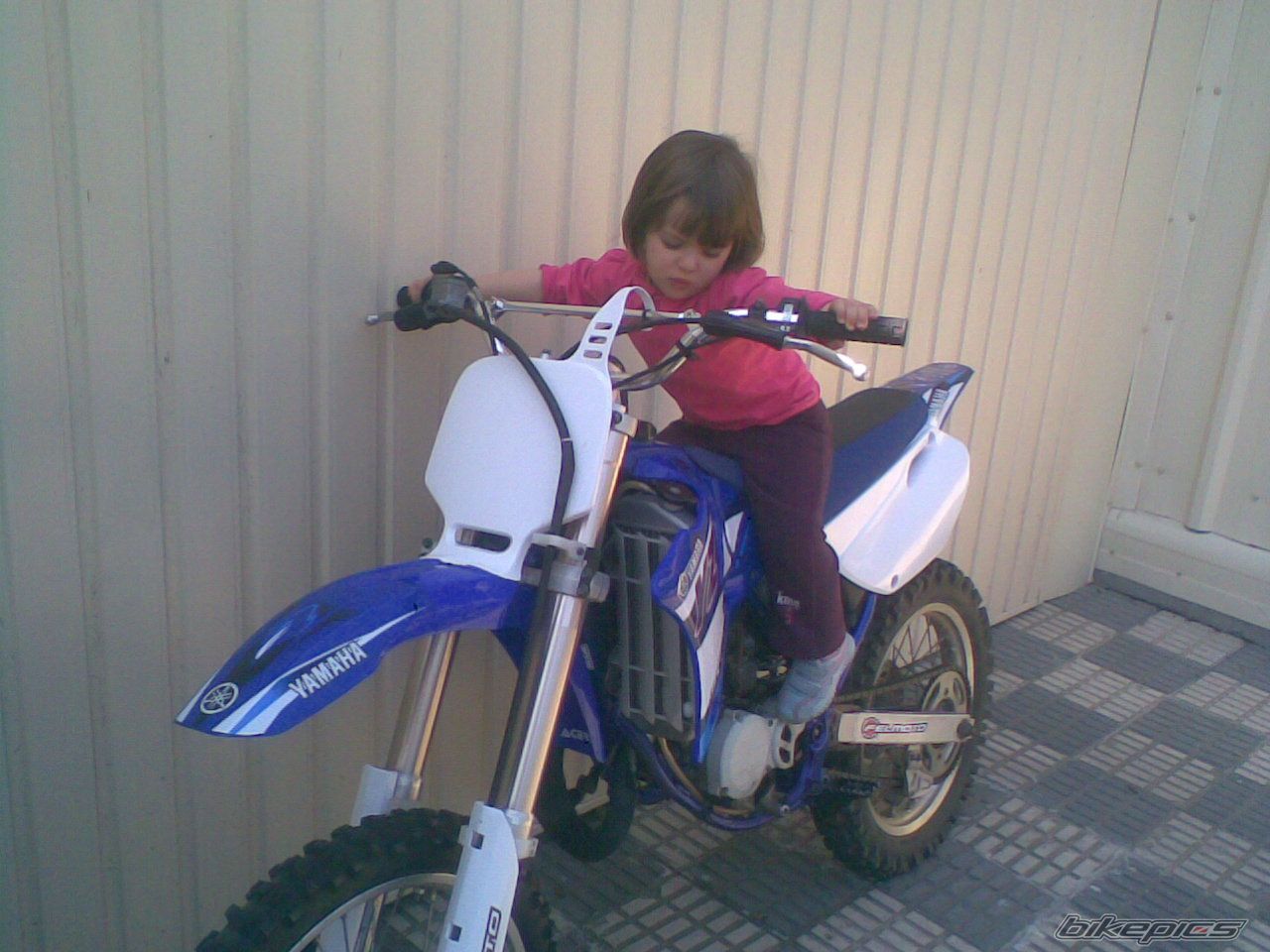 Photo 1619282
