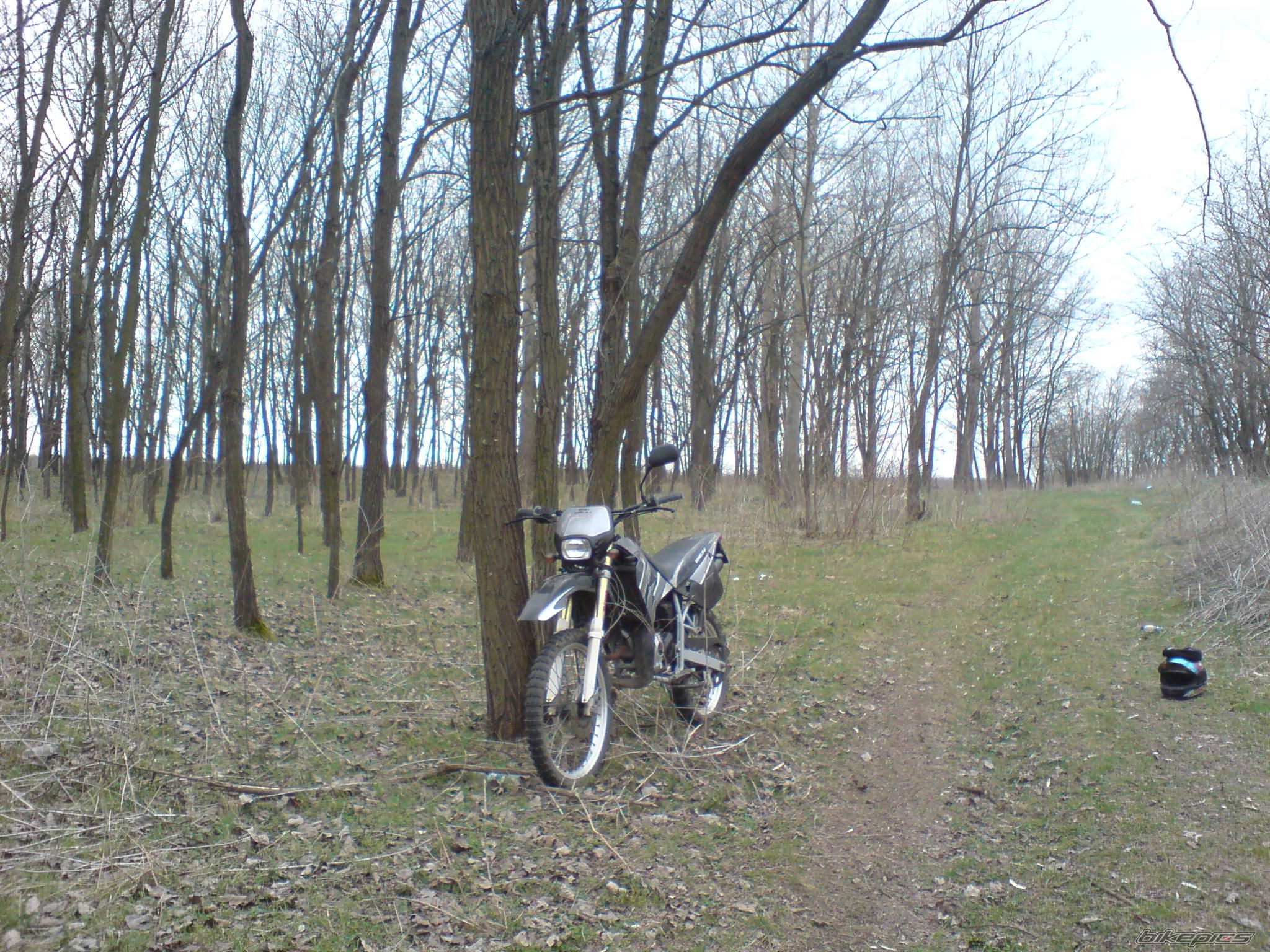 Photo 1619303