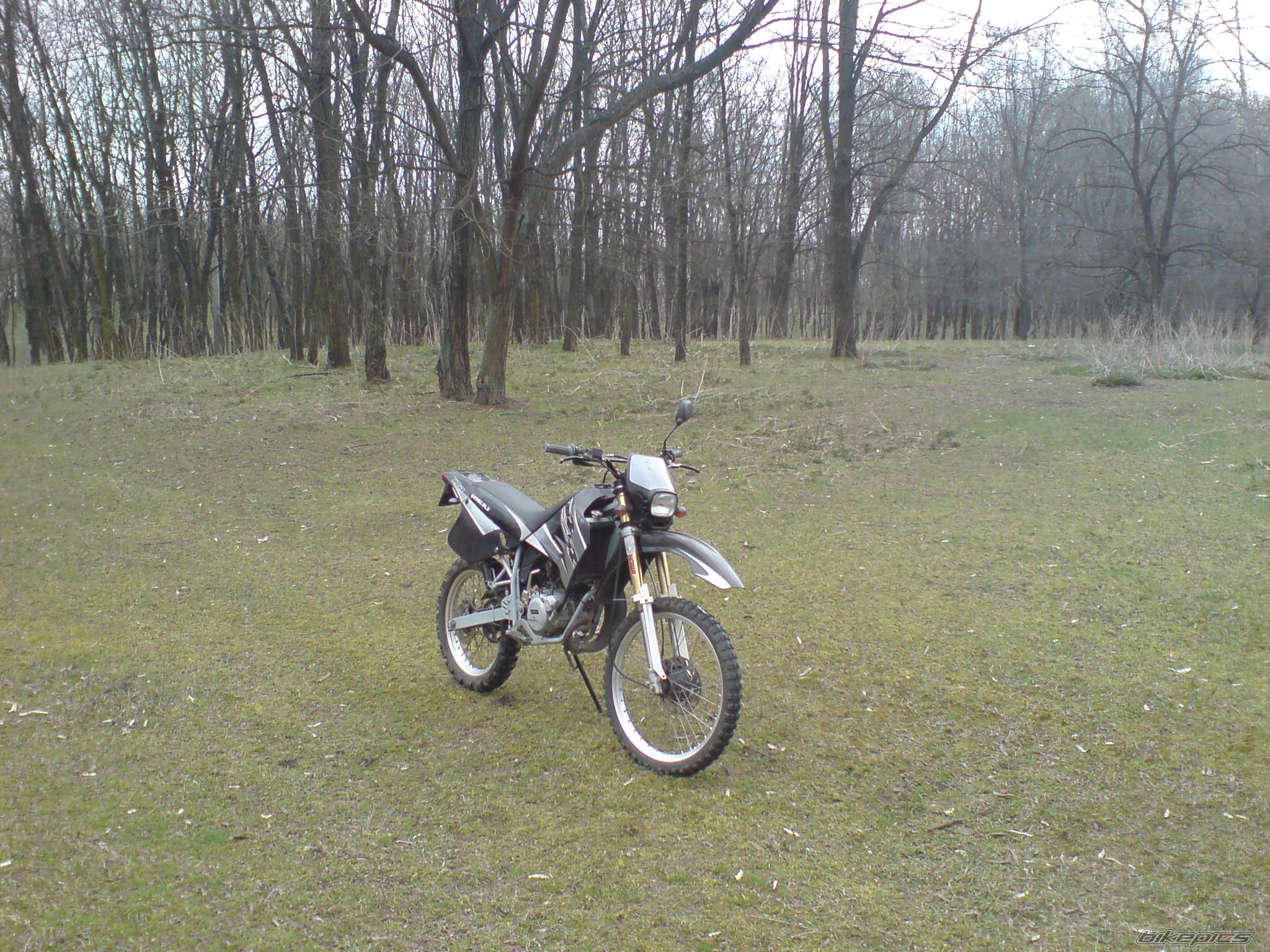 Photo 1619307