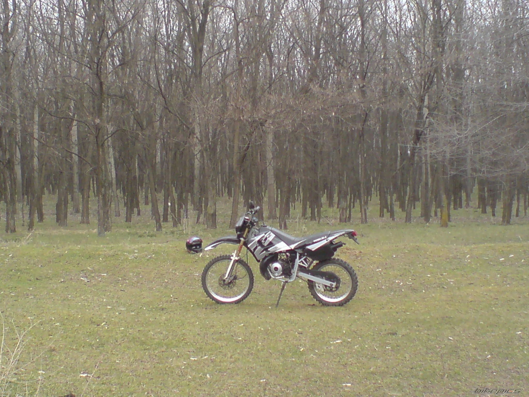 Photo 1619310