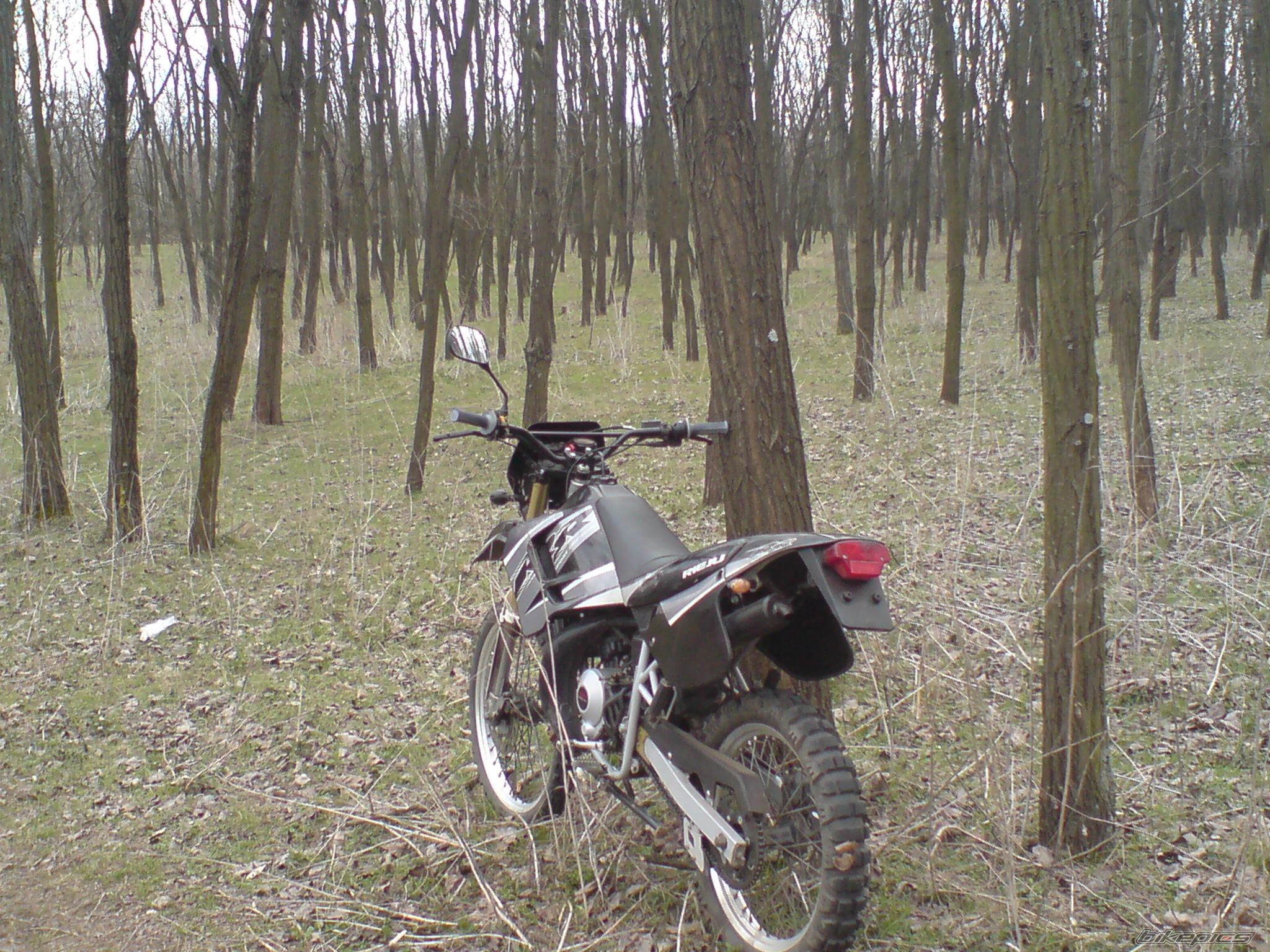 Bike Photo 1619313