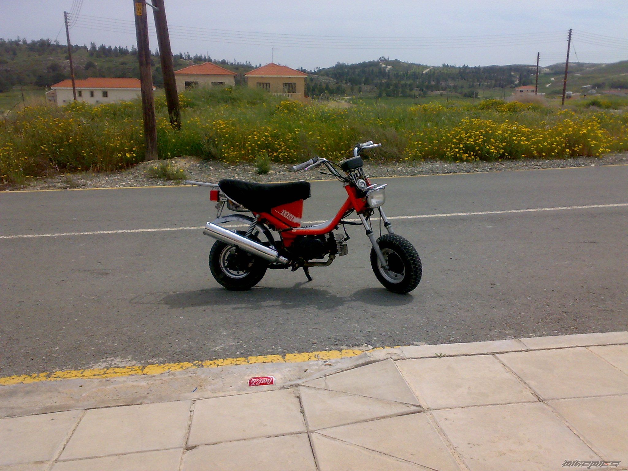 Photo 1619331