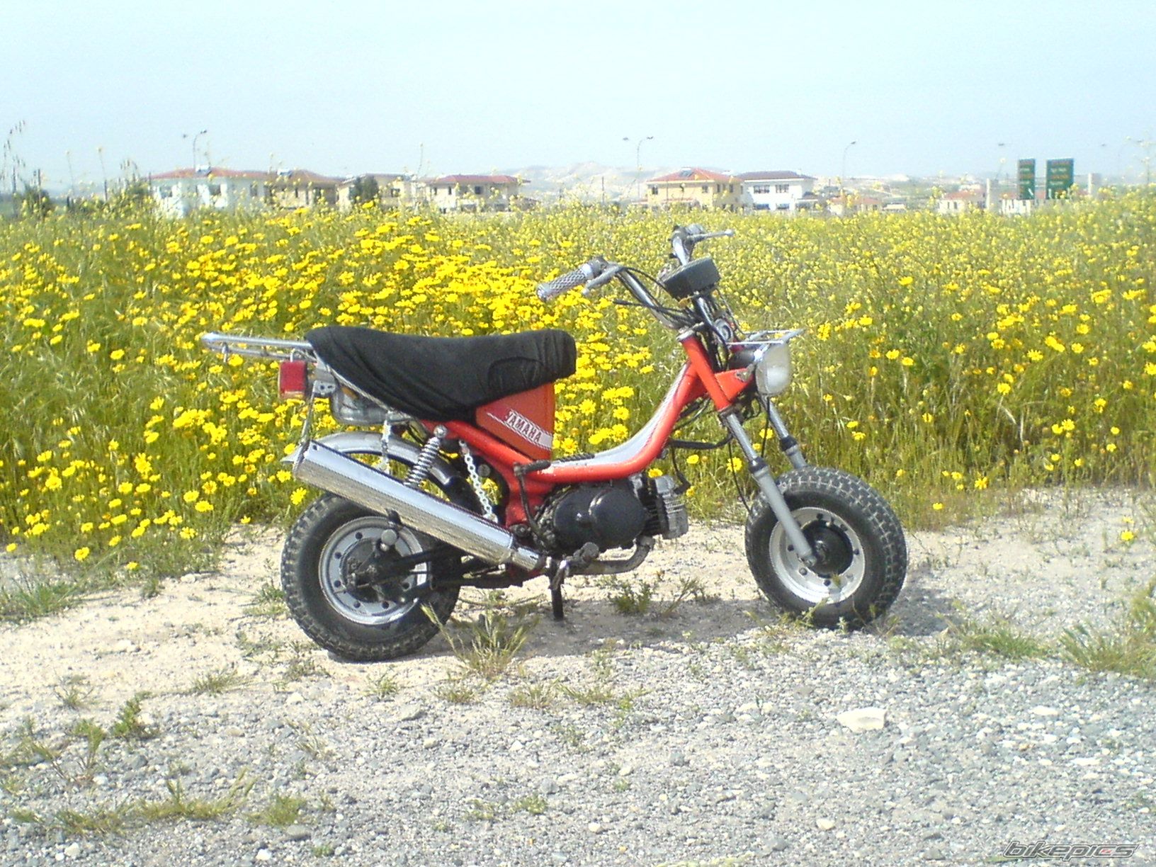 Photo 1619340