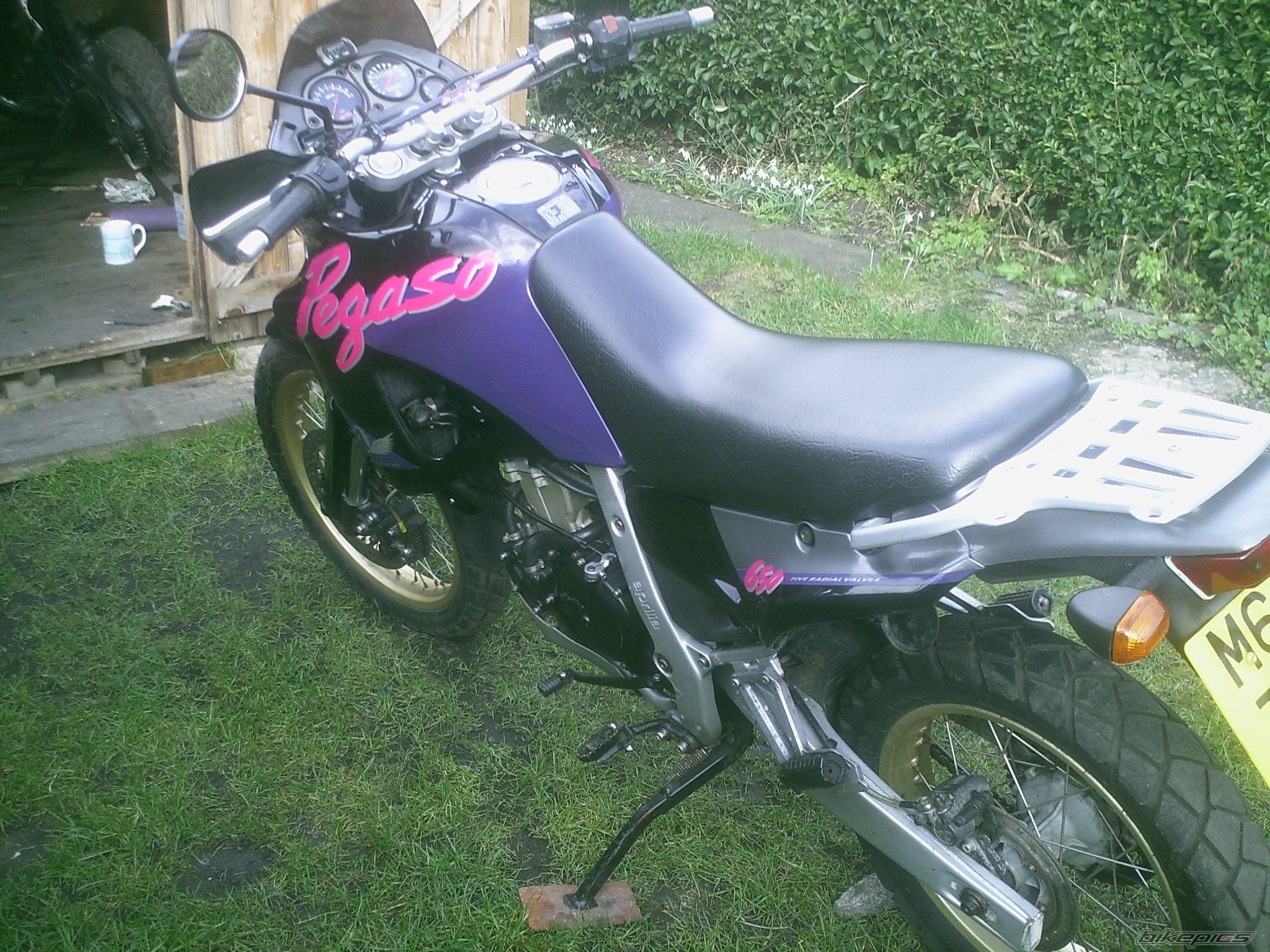 Photo 1619384