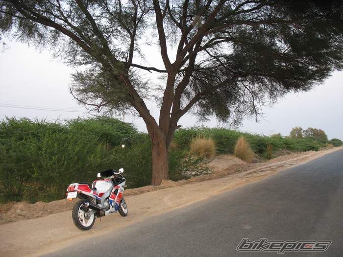 Photo 1619484