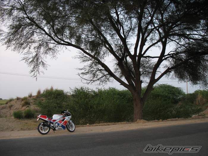 Photo 1619486