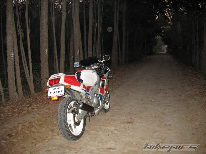 Photo 1619494